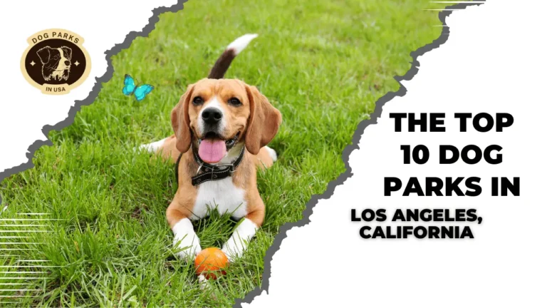 Top 10 Dog Parks In Los Angeles, California