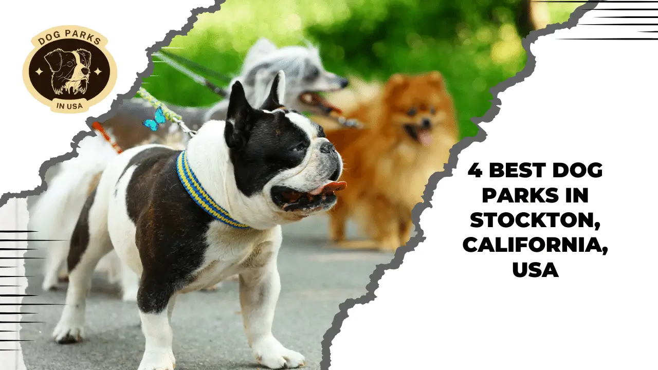 4 Best Dog Parks In Stockton, California, USA