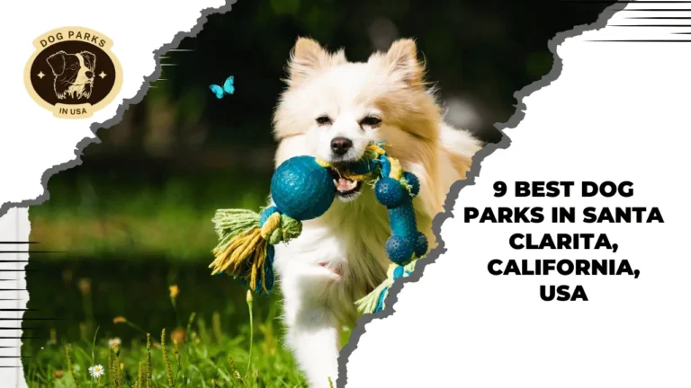 Best Dog Parks In Santa Clarita, California, USA