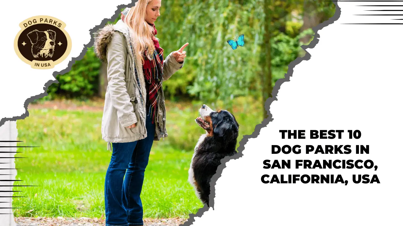 The Best 10 Dog Parks In San Francisco, California, USA