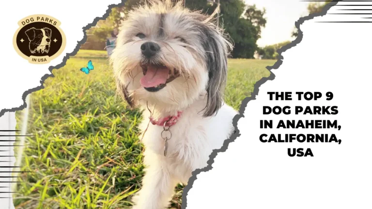 The Top 10 Dog Parks In Los Angeles, California