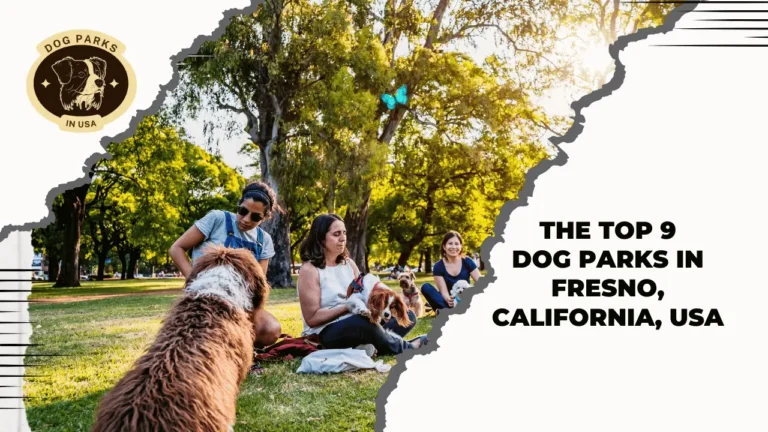 The Top 9 Dog Parks In Fresno, California, USA