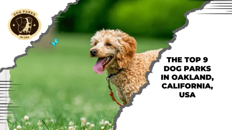 Top 9 Dog Parks In Oakland,  California, USA