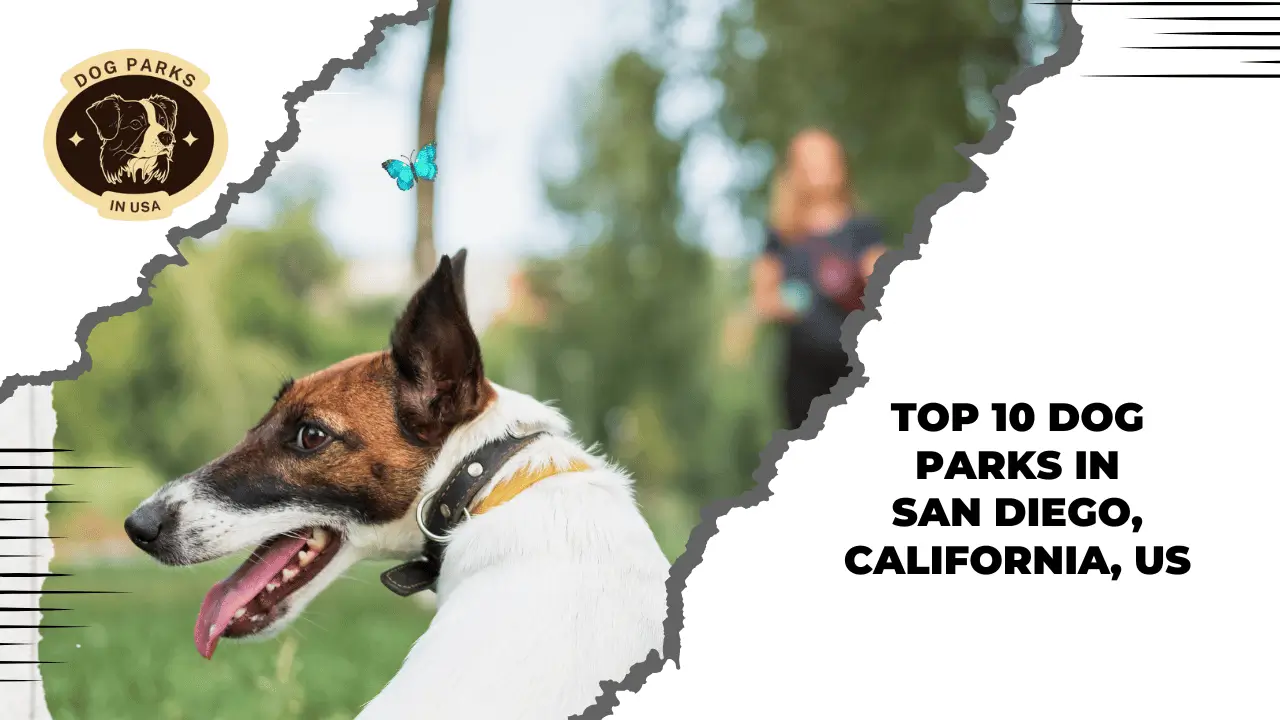 Top 10 Dog Parks In San Diego, California, US