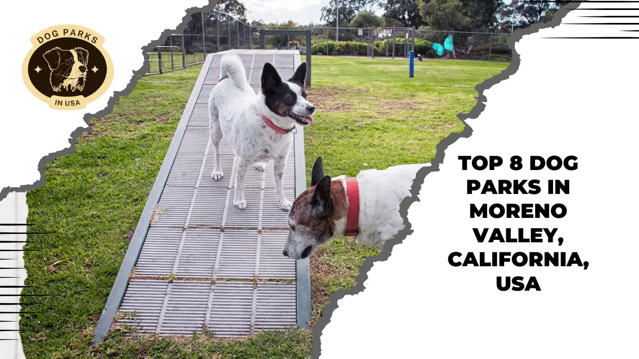 Dog Parks In Moreno Valley, California, USA