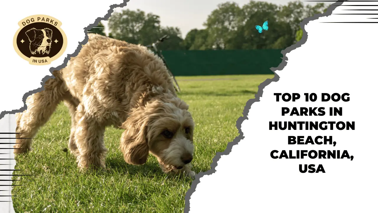 Top 10 Dog Parks In Huntington Beach, California, USA