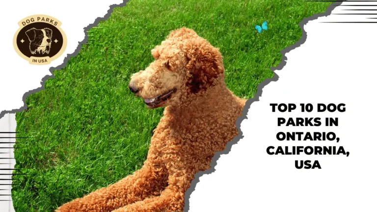 Top 10 Dog Parks In Ontario, California, USA