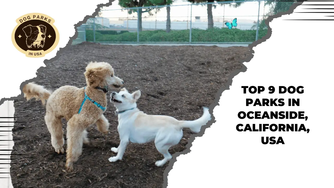 Dog Parks In Oceanside, California, USA