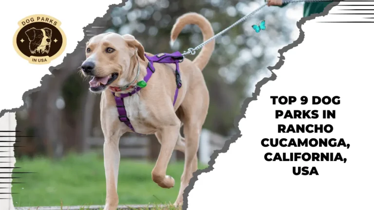 Dog Parks In Rancho Cucamonga, California, USA