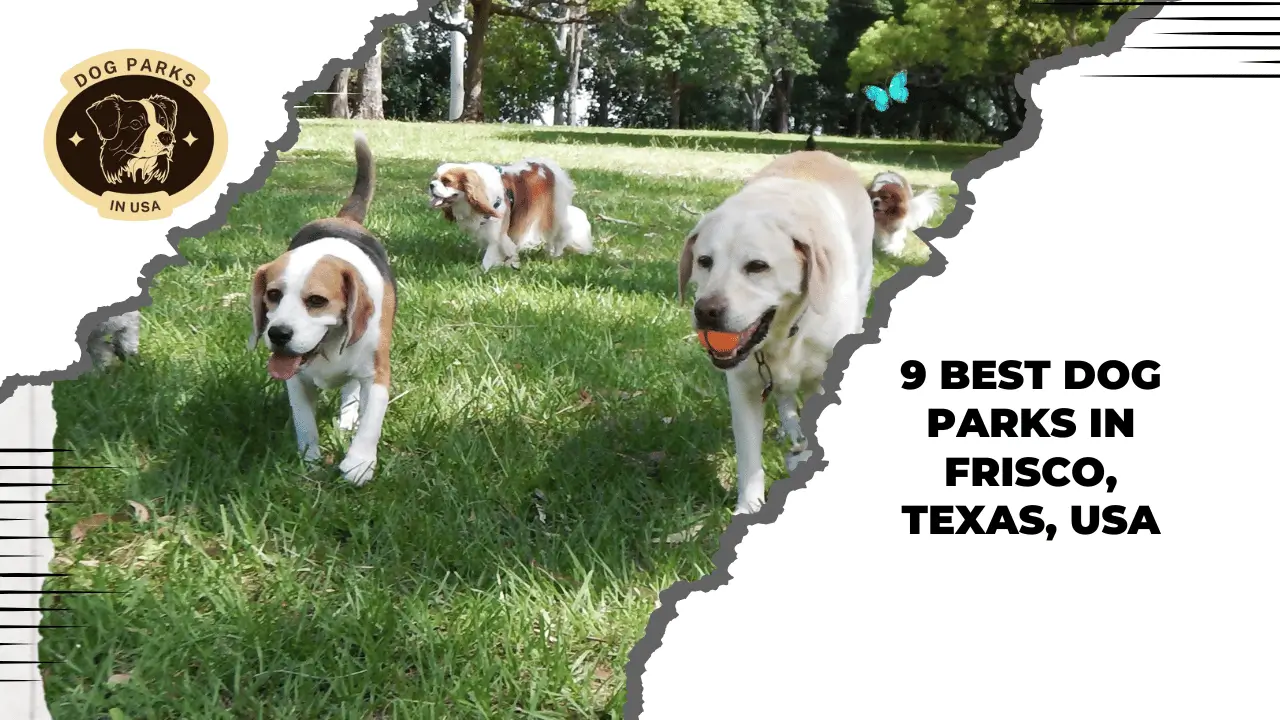 Dog Parks In Frisco, Texas, USA