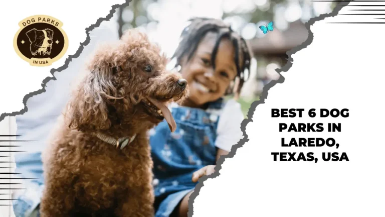 Dog Parks In Laredo, Texas, USA