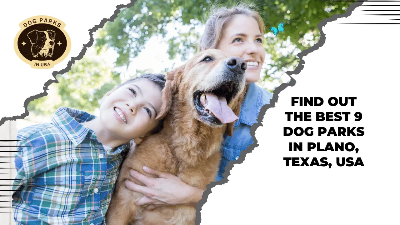 Dog Parks In Plano, Texas, USA