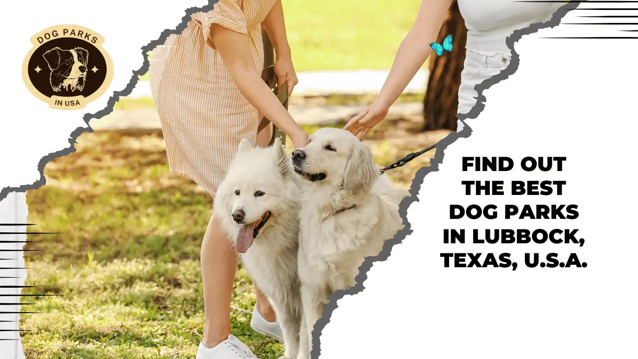 Dog Parks In Lubbock, Texas, U.S.A.