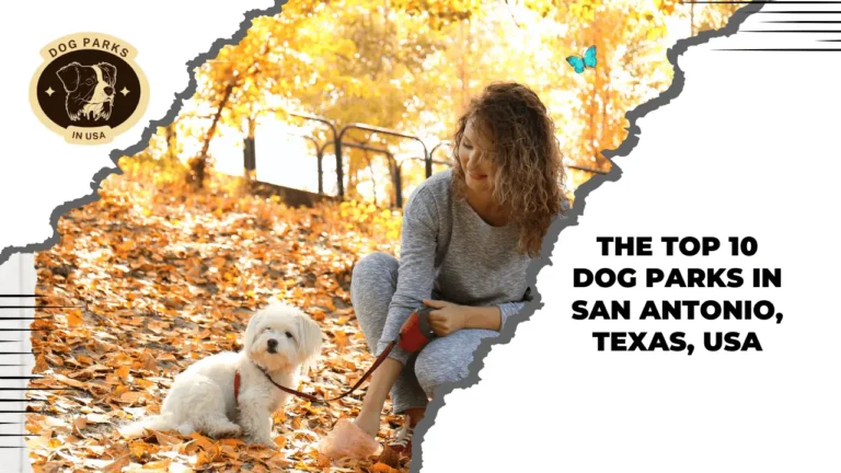 Dog Parks In San Antonio, Texas, USA