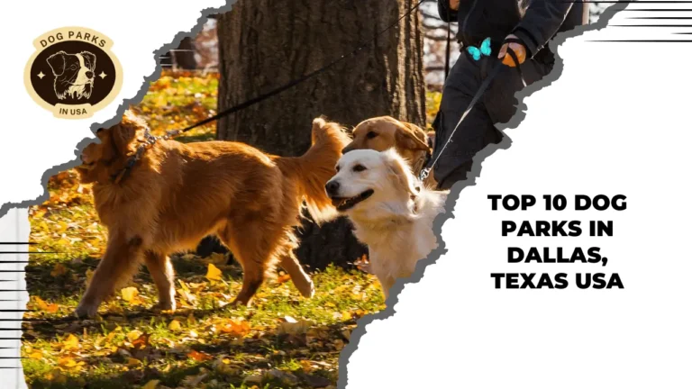 Dog Parks In Dallas, Texas USA