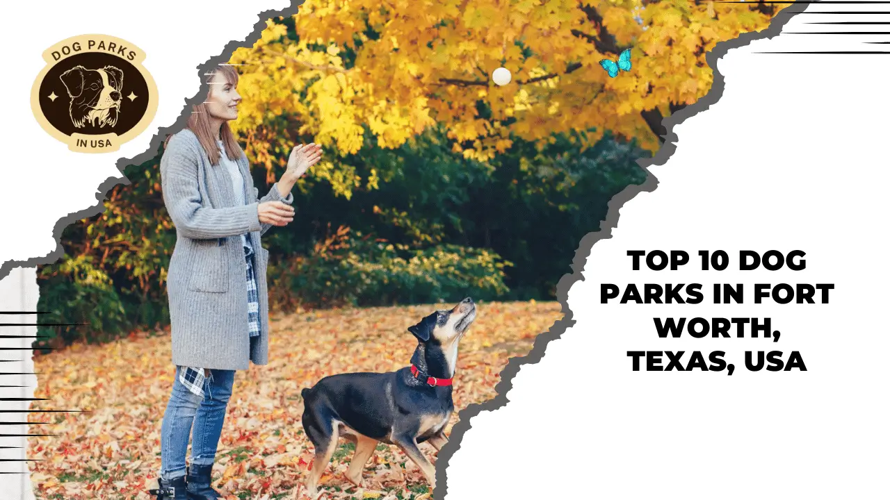 Dog Parks In Fort Worth, Texas, USA