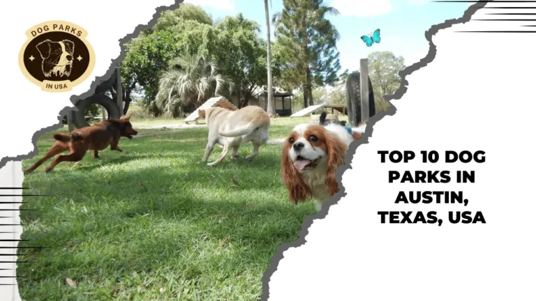 Dog Parks in Austin, Texas, USA