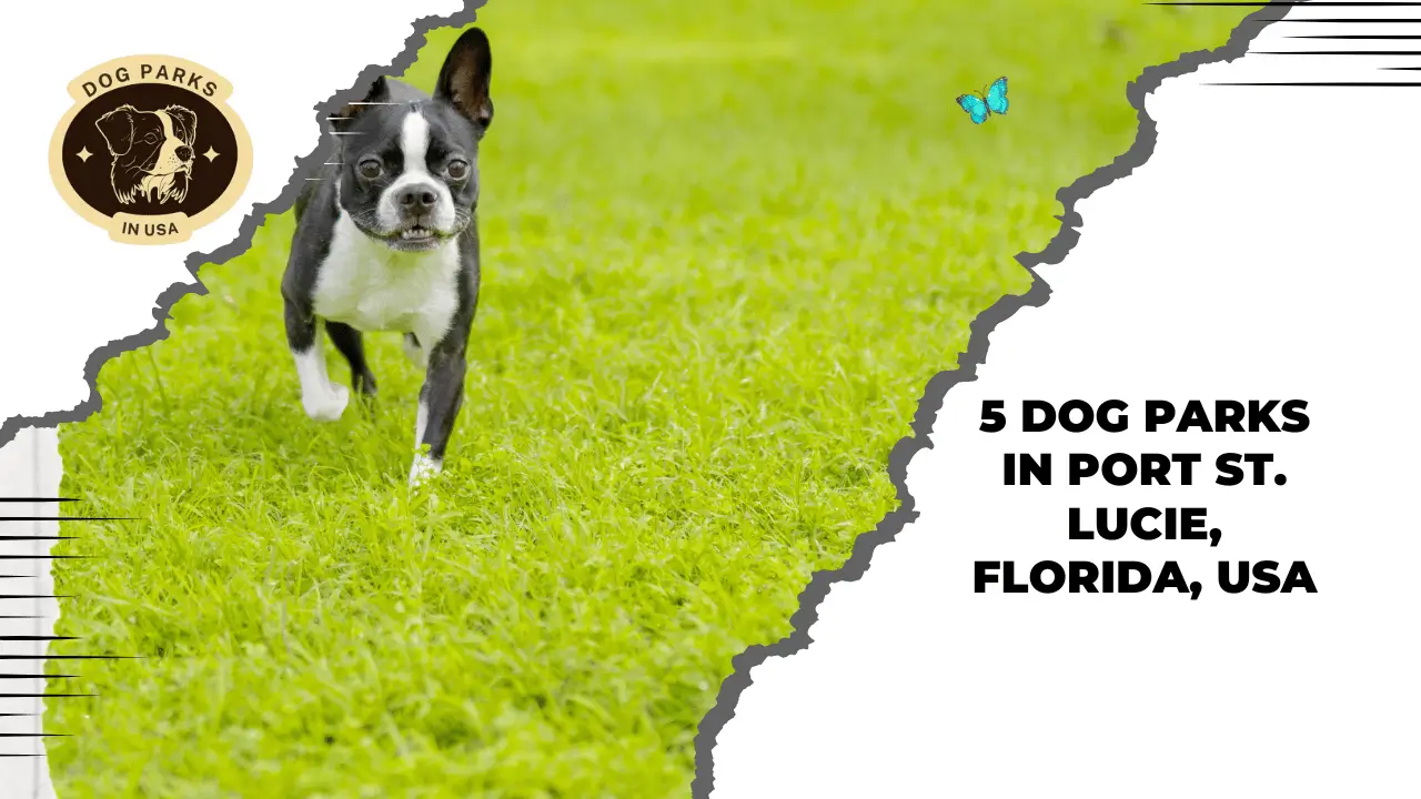 5 Dog Parks In Port St. Lucie, Florida, USA