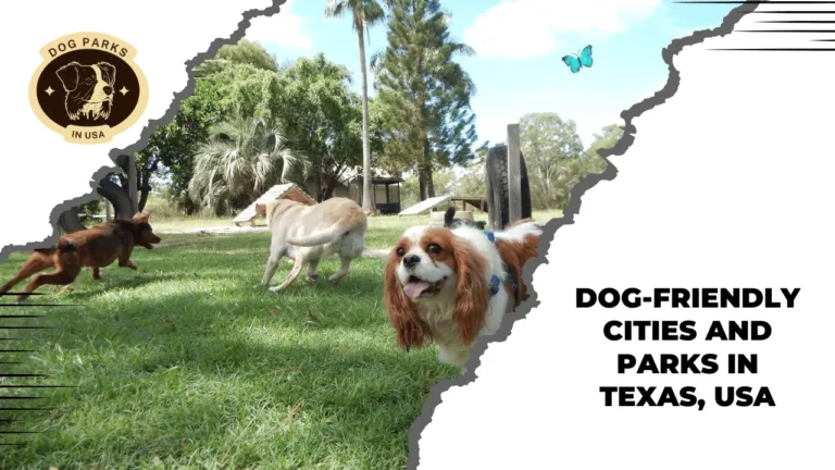 Dog-Friendly Cities And Parks In Texas, USA