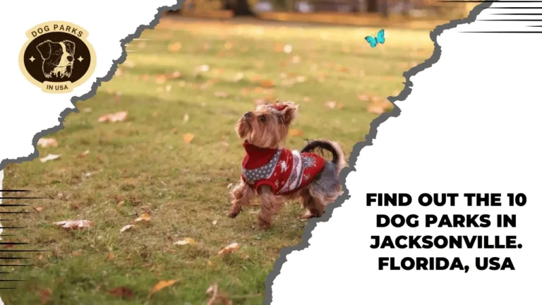 Dog Parks In Jacksonville, Florida, USA