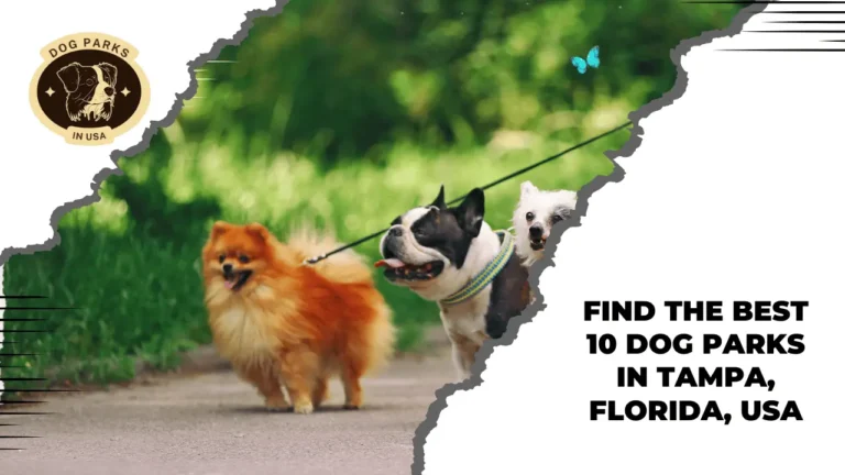 Find The Best 10 Dog Parks In Tampa, Florida, USA