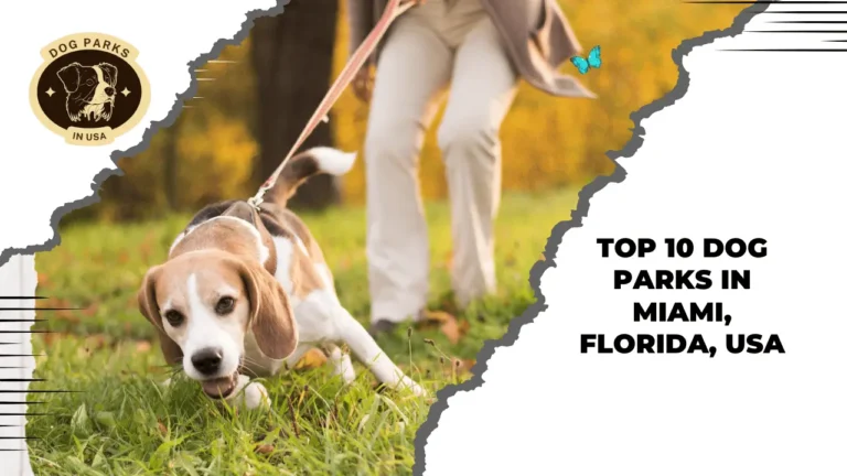 Dog Parks In Miami, Florida, USA