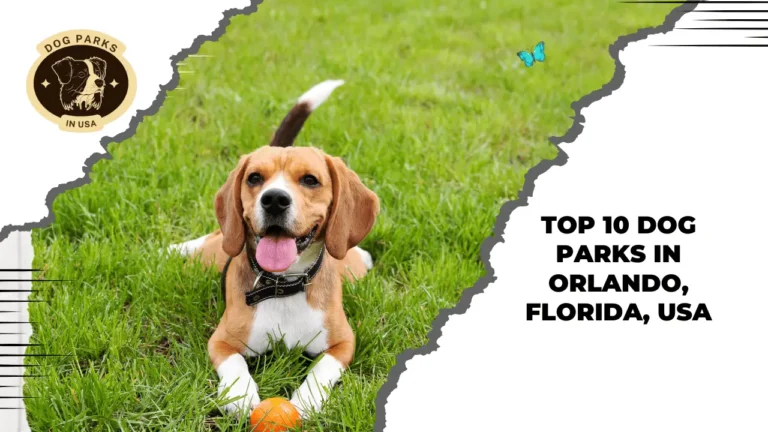 Dog Parks In Orlando, Florida, USA