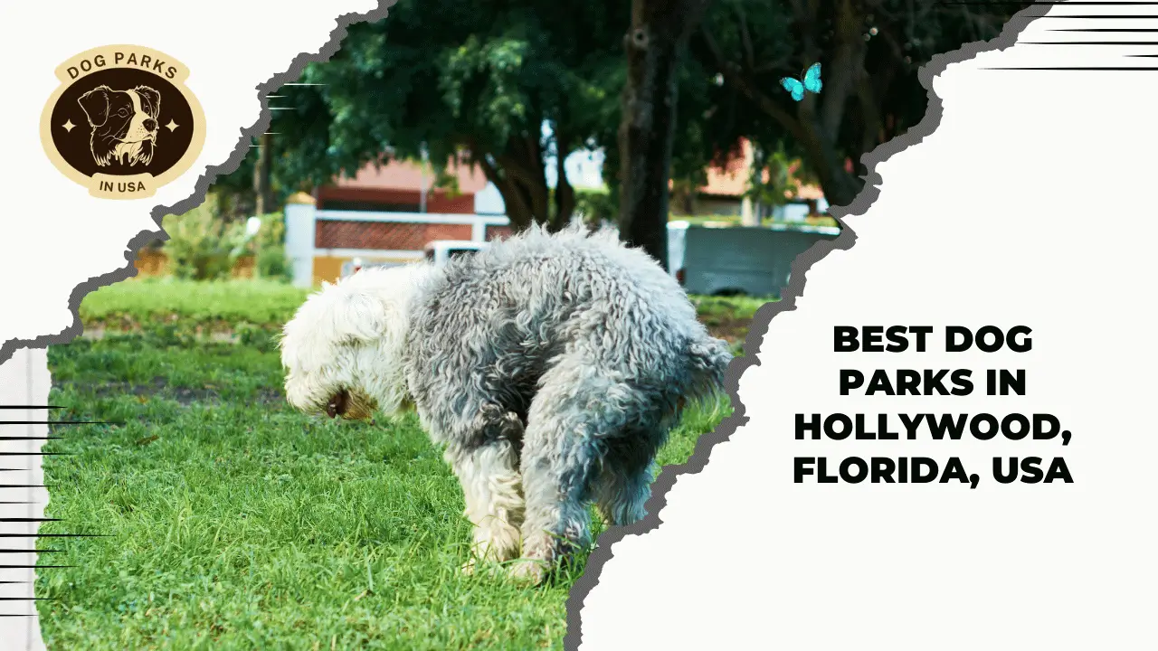 Dog Parks In Hollywood, Florida, USA