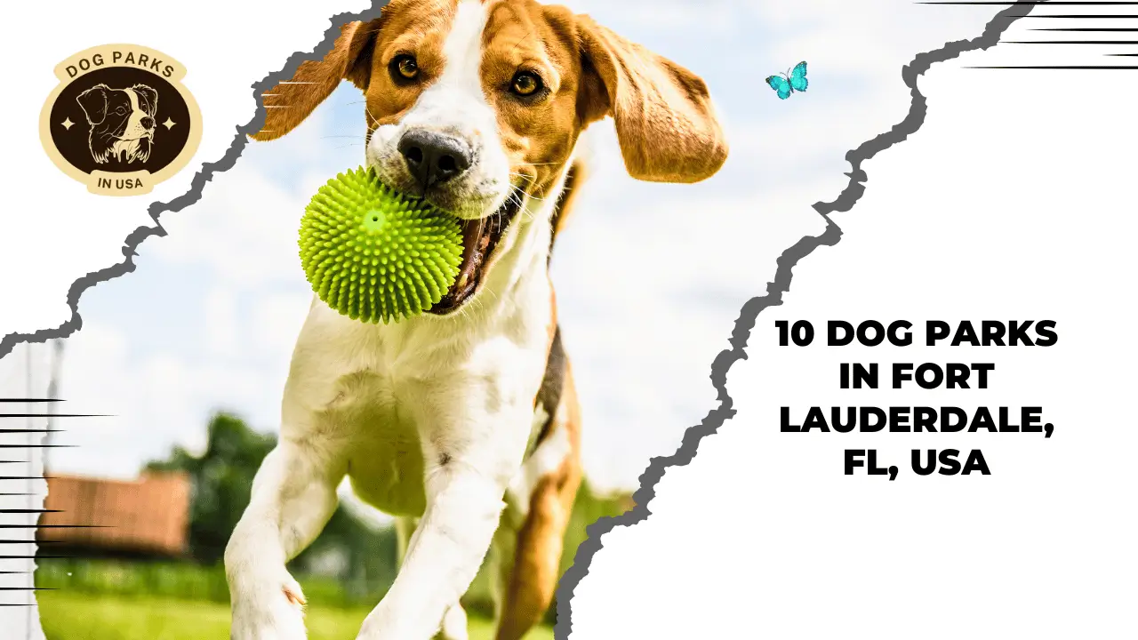 Dog Parks In Fort Lauderdale, FL, USA