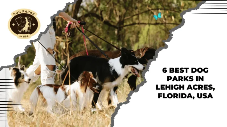 Dog Parks In Lehigh Acres, Florida, USA