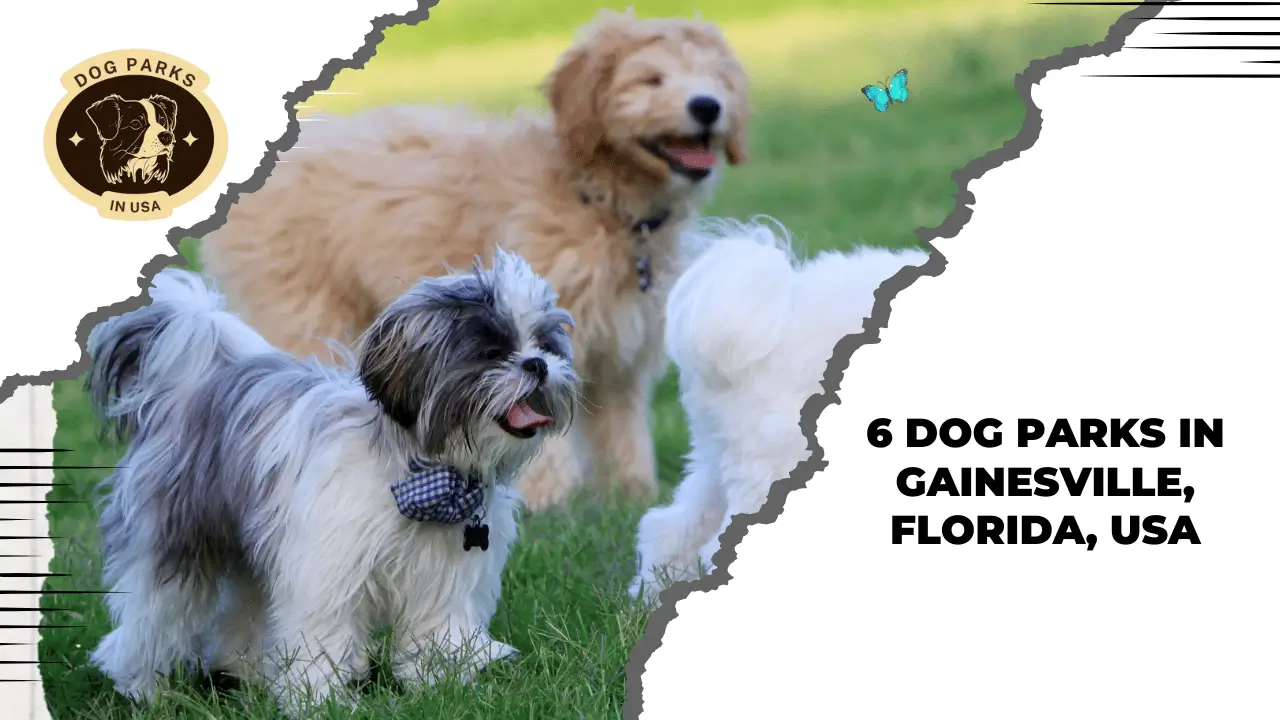 6 Dog Parks In Gainesville, Florida, USA