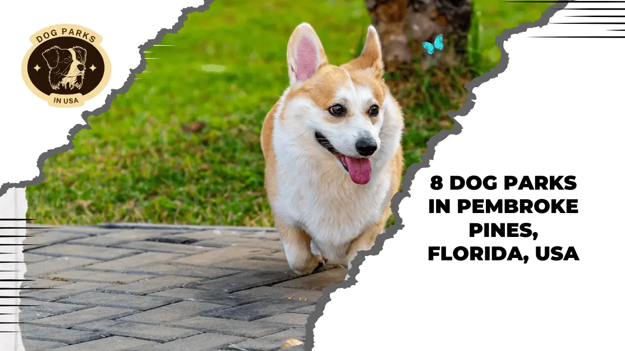 8 Dog Parks In Pembroke Pines, Florida, USA