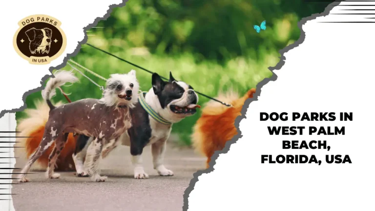 Dog Parks In West Palm Beach, Florida, USA