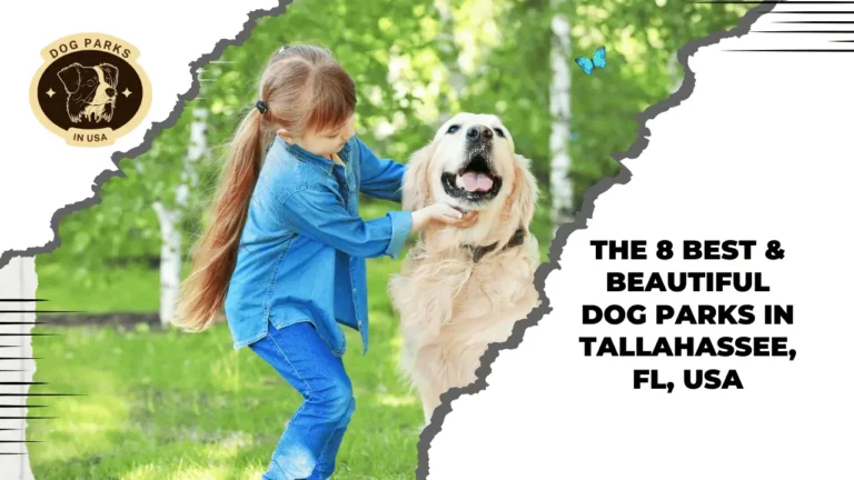 The 8 Best & Beautiful Dog Parks In Tallahassee, FL, USA