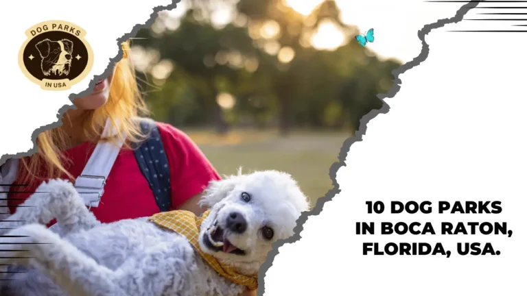 10 Dog Parks In Boca Raton, Florida, USA. 