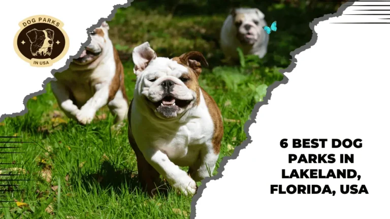 Dog Parks In Lakeland, Florida, USA