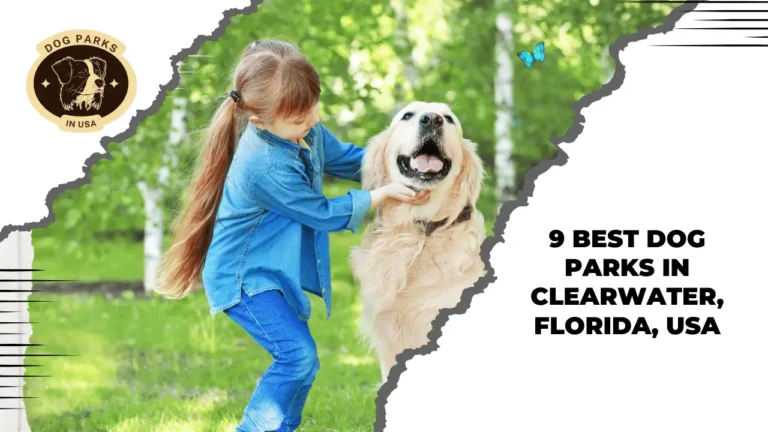 9 Best Dog Parks In Clearwater, Florida, USA