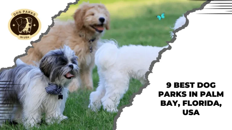 9 Best Dog Parks In Palm Bay, Florida, USA