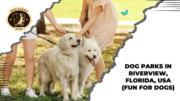 Dog Parks in Riverview, Florida, USA (Fun For Dogs)