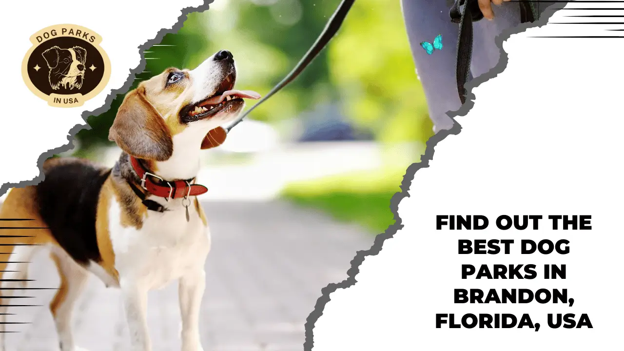 Best dog parks in Brandon, florida, USA