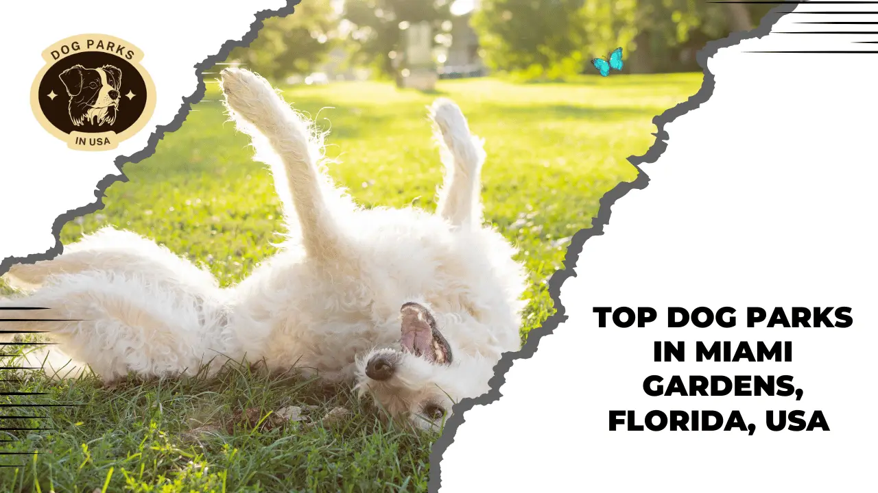 Dog Parks In Miami Gardens, Florida, USA 