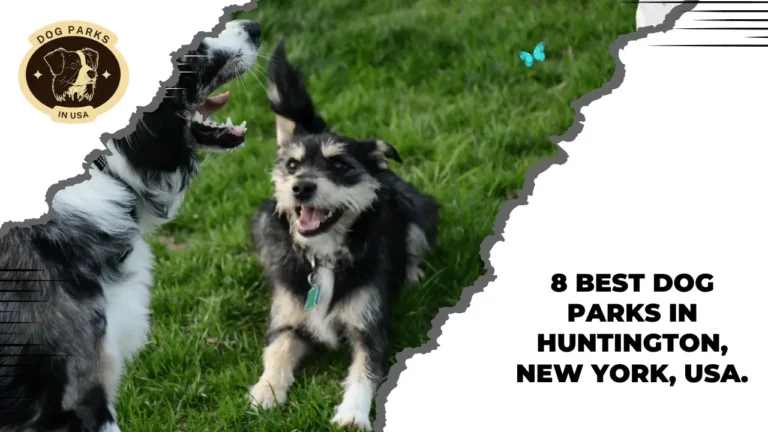 8 Best Dog Parks In Huntington, New York, USA. 