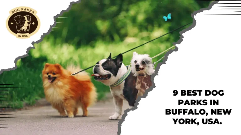 9 Best Dog Parks In Buffalo, New York, USA. 