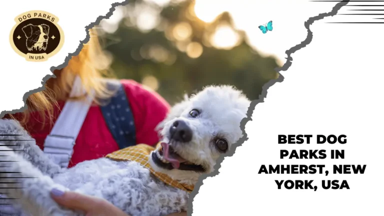 Best dog parks in Amherst, New York, USA