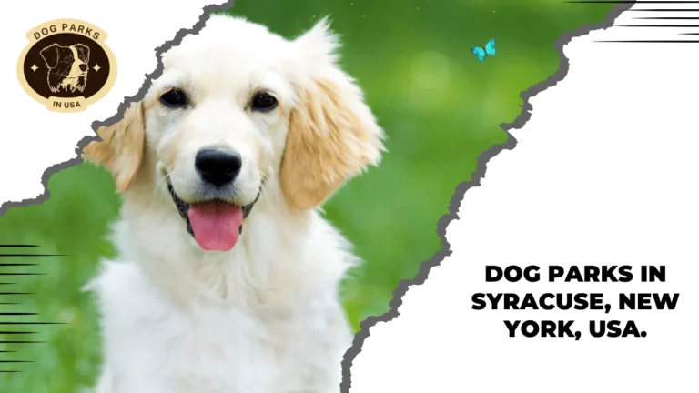 Top 10 Dog Parks In Syracuse, New York, USA