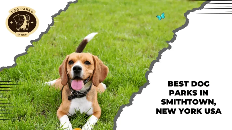 Dog Parks In Smithtown New York USA