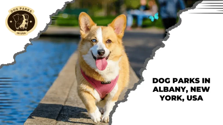 Dog Parks in Albany, New York, USA