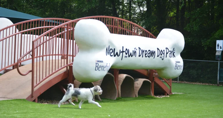 Explore the Best Dog Parks in USA: Your Ultimate Guide 2026