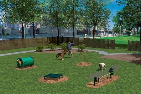 Pet owners exploring best Dog Parks in USA 2026