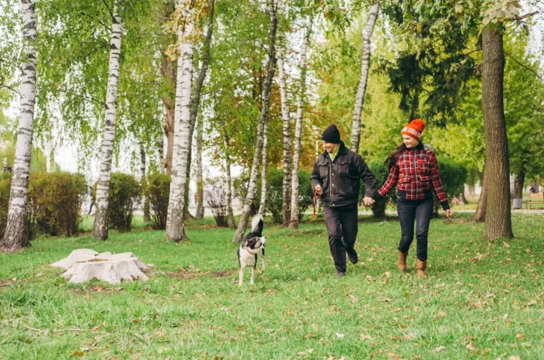 Dog Parks